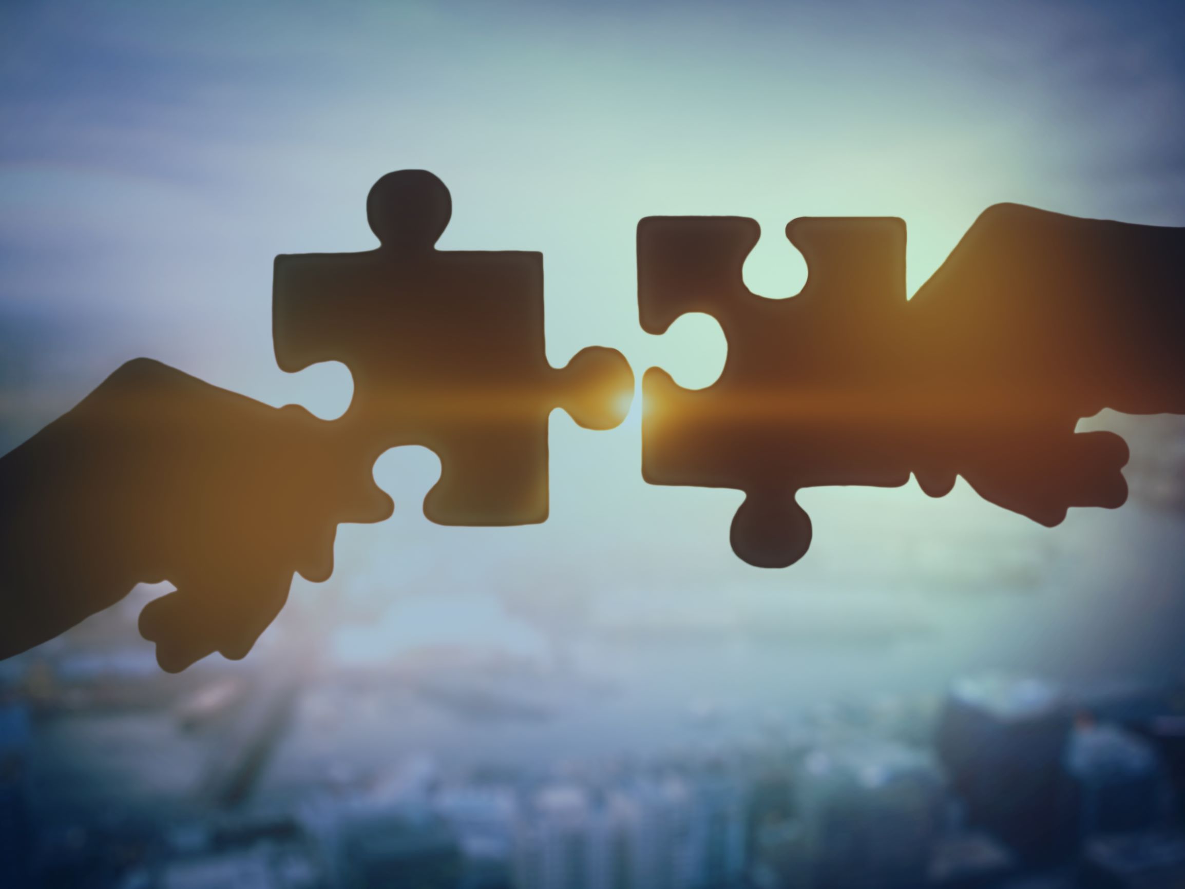 Público e Privado na Gestão Pública